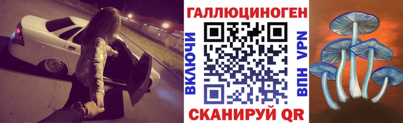 mega зеркало  купить   Волгодонск  Галлюциногенные грибы мухоморы 